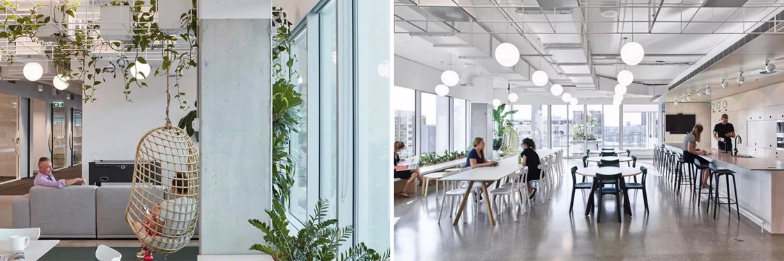 �칫����װ�����