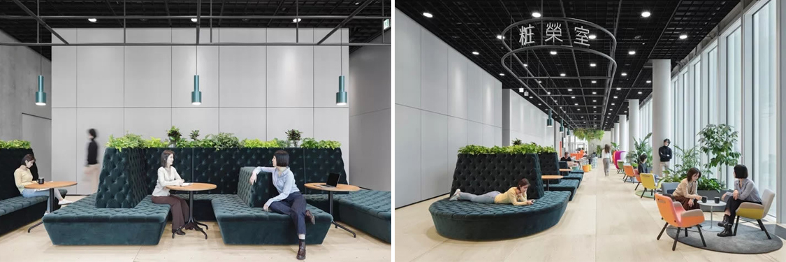 �칫��װ�����