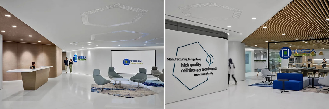 ����stake����װ����ƹ�˾ͼ��