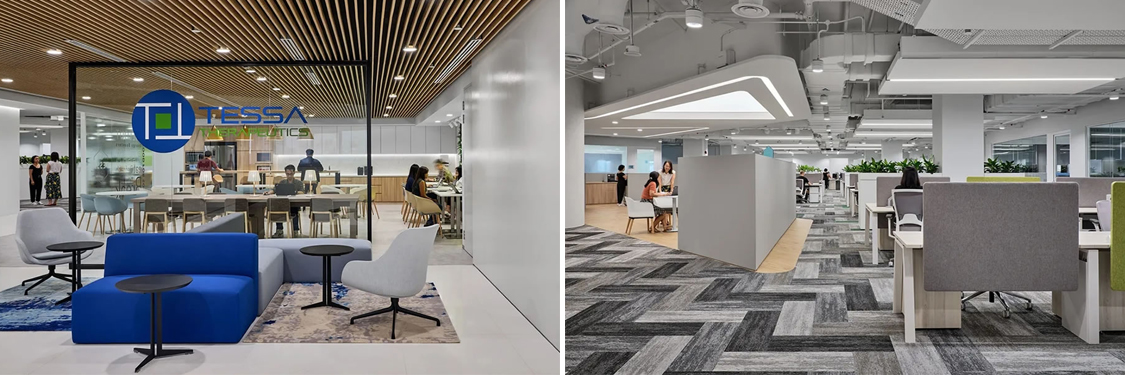 ����stake����װ����ƹ�˾ͼ��