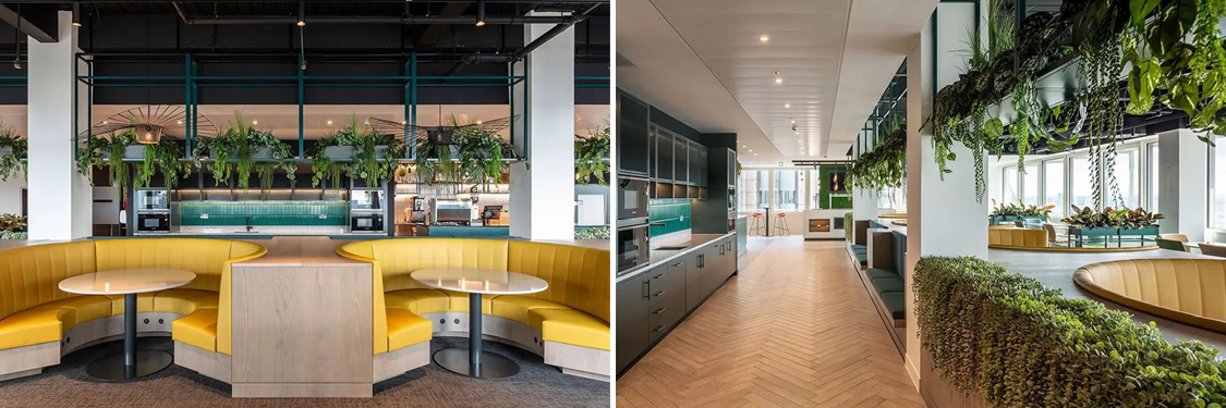 �칫��װ�����