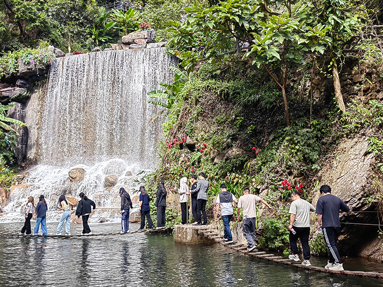 stake����װ���μ�