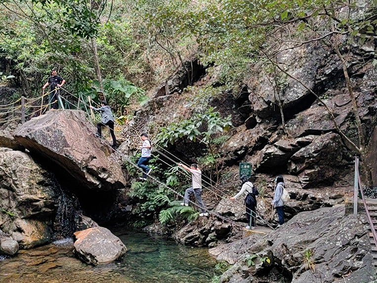 stake����װ���μ�