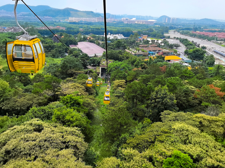 stake����װ�������μ��³�